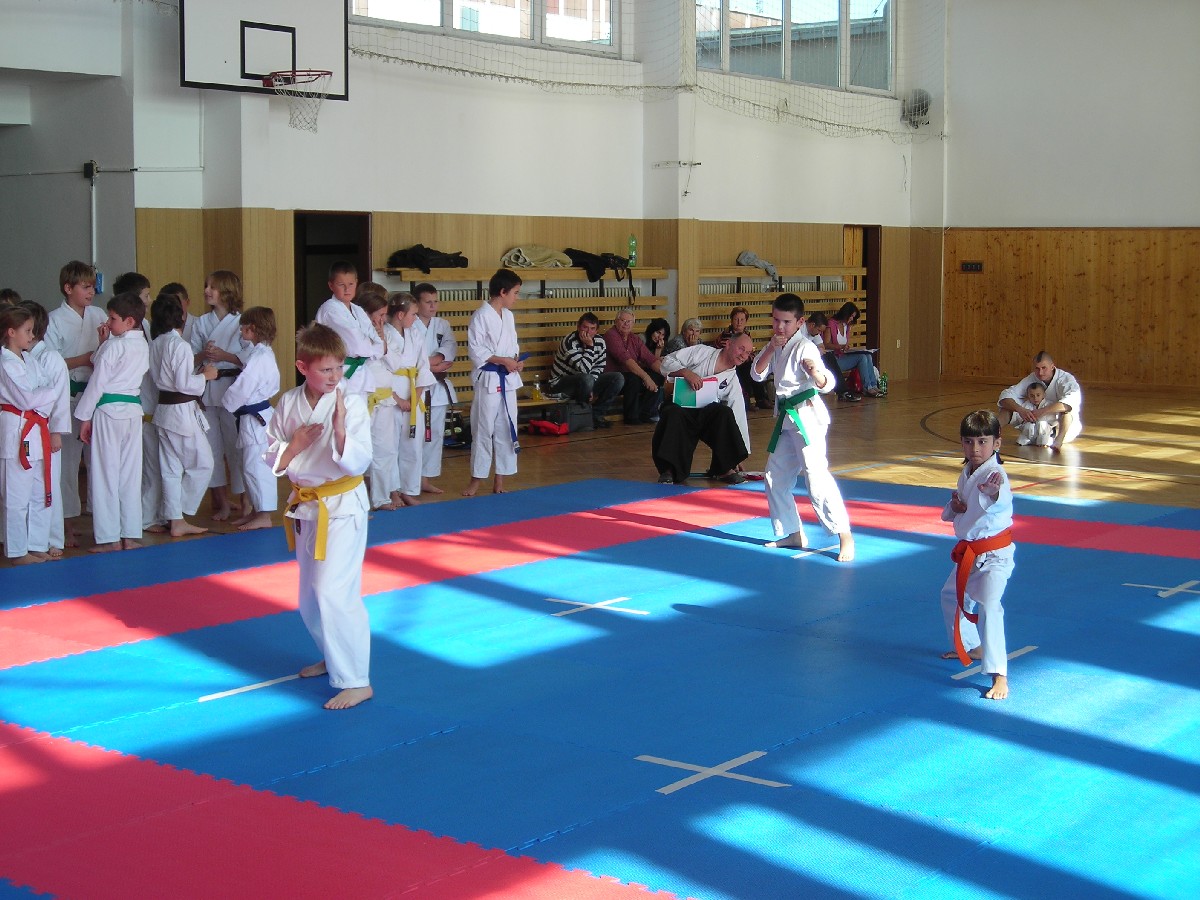 mcr_karate06