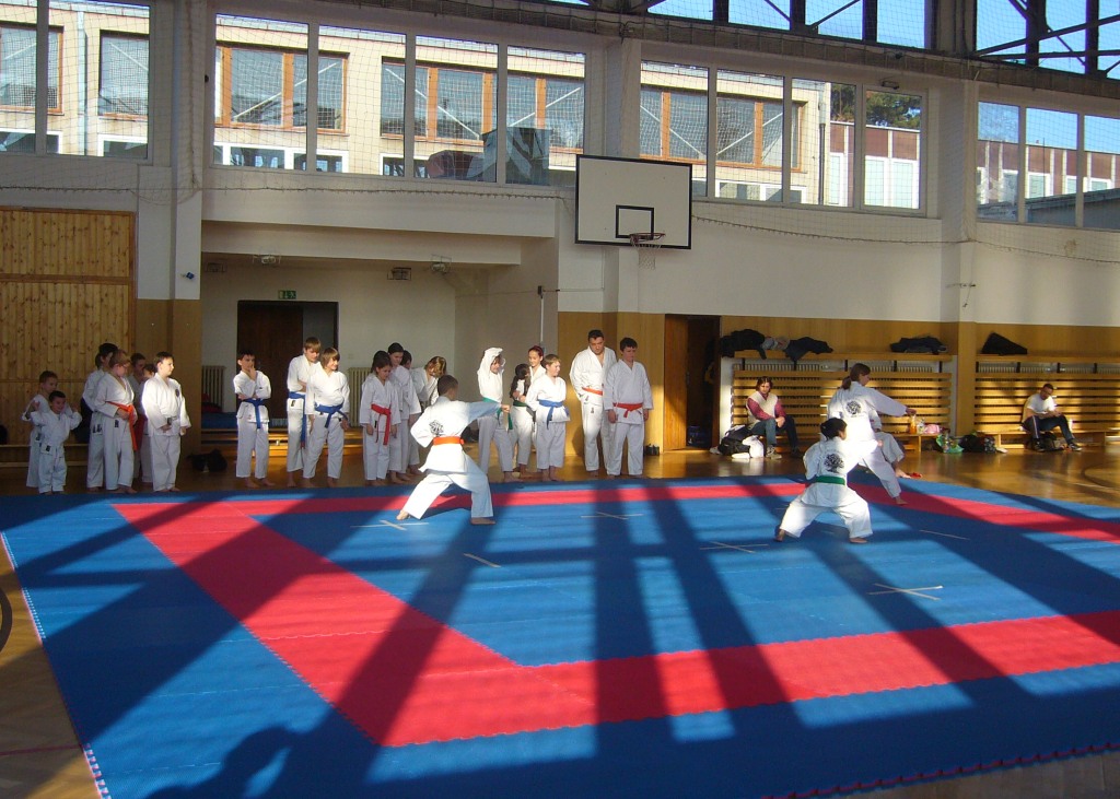 5 kata tým - taikyoku shodan