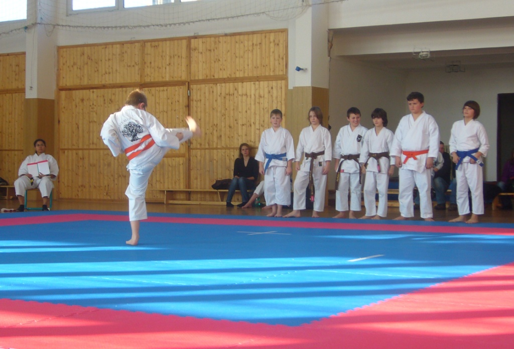 19  Honzík heian sandan