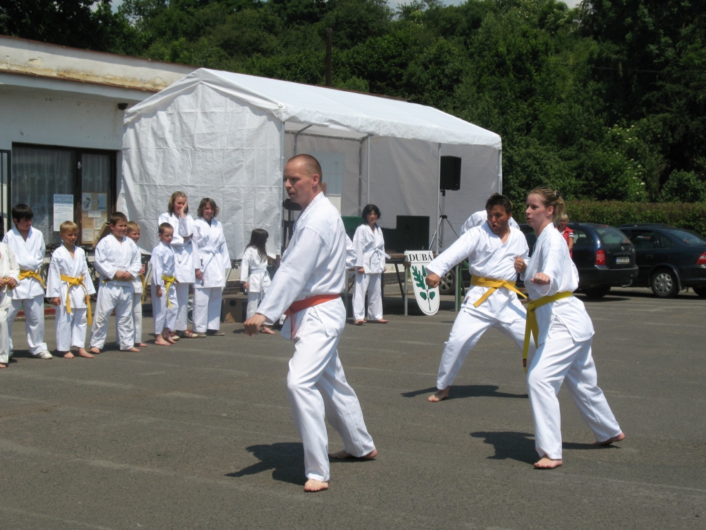 taikyoku-shodan