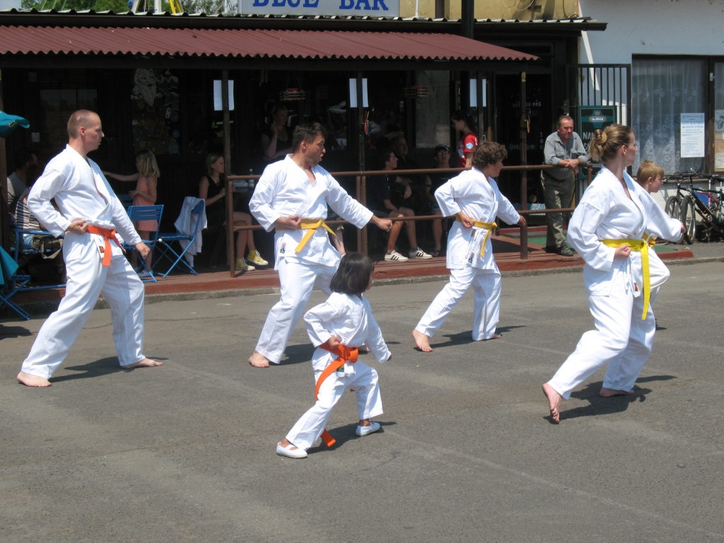 taikyoku-shodan-1