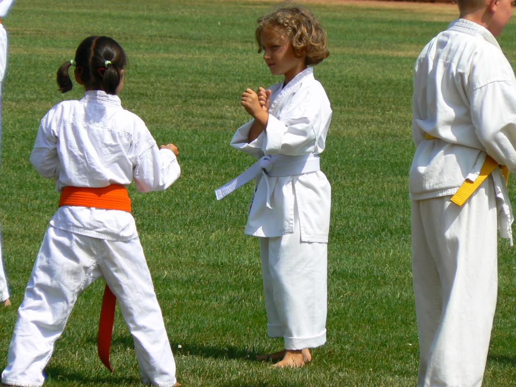 jui ippon kumite